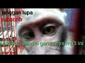 Lagu @ ganas nya mp3 moyet ini palling di cari.
