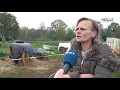 Lagu Eigenaresse in beslag genomen pony's Enschede wil haar dieren terug