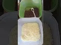 Download Lagu Jasuke jagung susu keju.