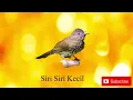 Download Lagu MASTERAN SIRI SIRI KECIL || JEDA 1 MENIT!!!