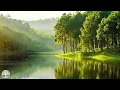 Download Lagu Muziek geneest het hart en bloedvaten, kalmerende muziek herstelt het zenuwstelsel, ontspannend