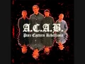 Download Lagu A.C.A.B. - Skinhead Selamanya