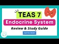 TEAS Science Study Guide Endocrine System Review