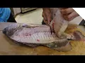 How to clean a sheepshead drum 2 easy ways - Sheepshead Guide Part 2