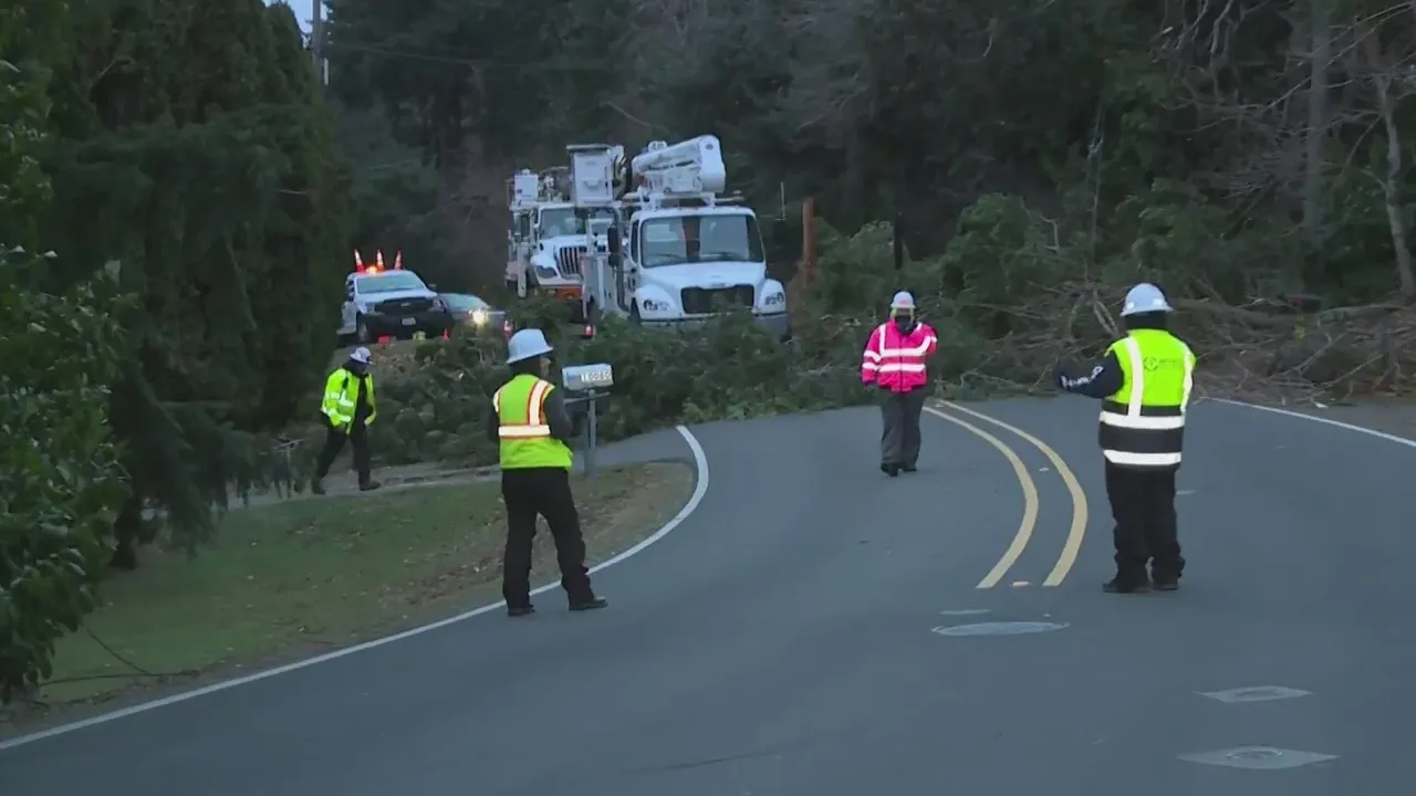 Fallen trees, power lines causing multiple road closures Fallen trees, power lines causing multiple road closures