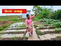 Download Lagu Alagu Illam Garden Update | heavy Rain 🌧️