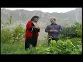 Download Lagu Wajiha \u0026 Farid Rastagar - Gol Ba Bahar (Official Music Video)