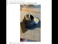 Sardines in a Cauldron -