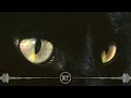 Semicenk - Herkes Gibisin (Sözleri/Lyrics)