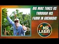 Download Lagu LABAY MARKET FOUNDER “BIG MAC” IS BACK IN GRENADA 🇬🇩 