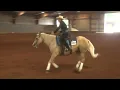 260814 Green Gerry G Beaudoin on The Revolutionist