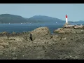 Tide timelapse - Pender Island