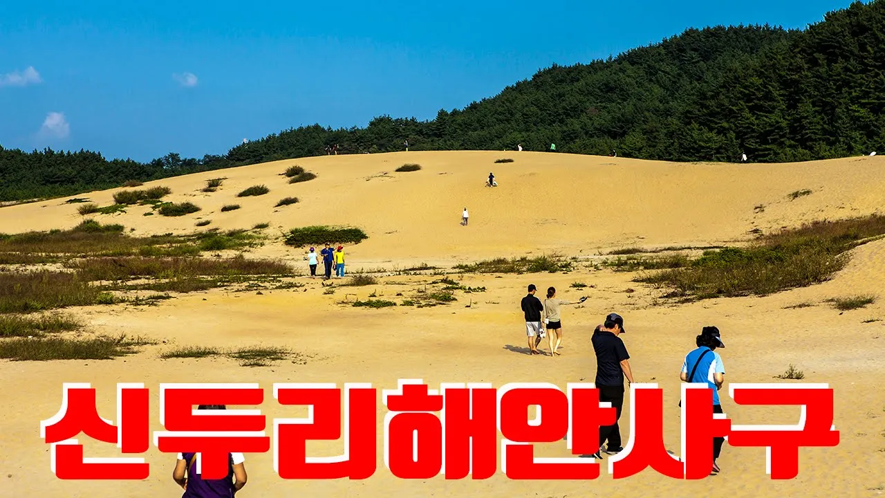 안면도 신두리해수욕장 サムネイル