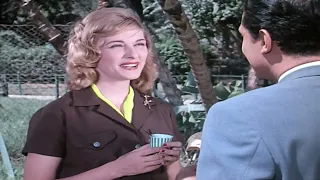 حصري ا النسخة الكاملة   فيلم الايدي الناعمه          نسخه أصلية                                     دندنها