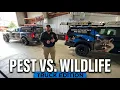 Pest Control Vs Wildlife Removal Truck Set Up
