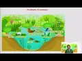 Ecosystems Aquatic Ecosystems Ponds Streams Lakes Rivers Oceans Estuaries Part-1