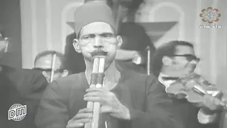 بحب البيض لاكن السمر قتلوني دندنها