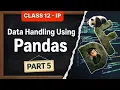 DataFrame Introduction and Creation in Pandas Class 12 Informatics Practices Unit 1 Part 5