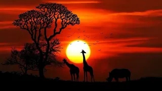 afro brotherz absent original mix 