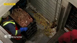 Dockside monitor charged with taking bribes in crab falsifying catch records