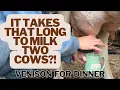 Download Lagu It Takes HOW LONG To Milk 2 Cows?!