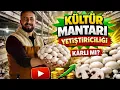 Lagu YILDA 3000 TON MANTAR / TÜRKİYENİN EN İYİLERİ ARASINDA / KÜLTÜR MATARI ÜRETİM TESİSİ