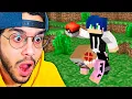 Download Lagu UM NOVO ALIADO?! - Cobblemon Minecraft