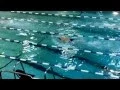 Cyrus Dishman Pool January 16 2016