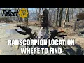 Fallout 76 Radscorpion Location Where To Find
