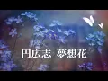 円広志  夢想花 (歌詞入り)