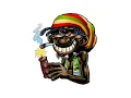 Sams'K le Jah - Ouaga FM Reggae mix (part 1)