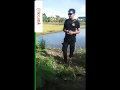 Download Lagu LAGU BUGIS TERBARU BAICCU KA NA INDO KU