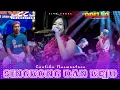 Download Lagu SINGKONG DAN KEJU - CANTIKA NUSWANTORO || ADELLA LIVE TEGAL (HALAL BIHALAL PERANTARA COMMUNITY)