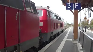                                                                       دندنها