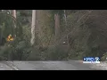 Winter wind tears down power lines around Western Washington