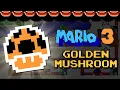 The Quest for Mario 3 s Rarest Item