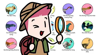 Tất cả các loài khủng long trong 41 phút (Phần 1)