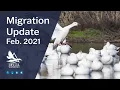 Feb 2021 Migration Update