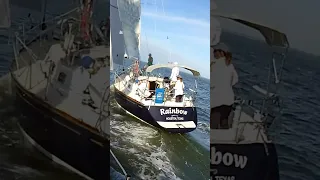 #shorts #sailing #texas #racing #water #wind #fun