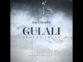 Download Lagu JOGET DANGDUT _ GULALI _ RIJUN CHOLTER _ REMIX - ( ARMEGA SOUND)
