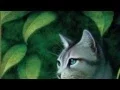 Warriors - The Ultimate Guide Trailer