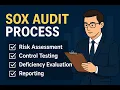 SOX Audit Made EASY What Why How Explained
