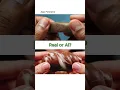 Download Lagu Real or AI viral ASMR satisfying chocolate slicing cutting video generator