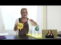6th Grade Science 050620