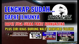 Download 💋 SUARA PANGGIL BERKUALITAS BLACK EAGLE CWS PLUS ILMU SETEL SEMUA VOLUME SUARA TEPAT. MP3