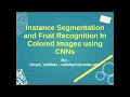 Instance Segmentation and Fruit Recognition In Colored Images using CNNs