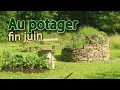 Download Lagu A tour of the vegetable garden, end of June 🥬🍅🍓🫛🍒