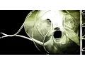 Download Lagu Textrinium