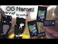 NameMC Capes Disappearing Two Letter Minecraft Name OG Alert 3