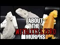Bearded Dragon Genetics The WITBLITS ZERO Morph